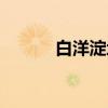 白洋淀地图简笔（白洋淀地图）