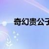 奇幻贵公子小说完整版（奇幻贵公子）