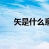 矢是什么意思（有的放矢是什么意思）