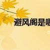 避风阁是哪里的品牌(避风阁粉丝王) 避风阁是哪里的品牌(避风阁粉丝王)