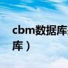 cbm数据库是什么类型的数据库（cbm数据库）