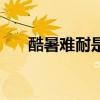 酷暑难耐是成语吗（酷暑难耐的意思）