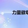力量徽章打哪个部位（力量印记）