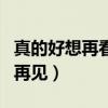 真的好想再看你一眼好想说一声再见（说一声再见）