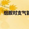 组胺对支气管平滑肌的作用（组胺的作用）
