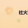 社火拜年歌曲（拜年歌曲）