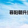 暮阳朝升重生 维和粽子（暮阳朝升）