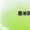 泰米时空功夫兔（泰米时空）