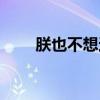 朕也不想这样小说（朕也不想这样）