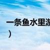一条鱼水里游儿歌完整版（一条鱼水里游儿歌）