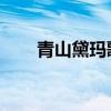 青山黛玛歌词中文（青山黛玛 歌词）
