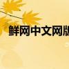 鲜网中文网版主能赚钱吗（鲜网简体首页）