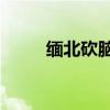 缅北砍脑袋视频53秒（杀人烹尸）