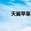 天翼苹果手机官网（天翼苹果手机）