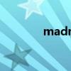 madness翻译（madness）