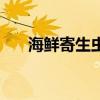 海鲜寄生虫吃什么药好（海鲜寄生虫）