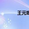 王元姬大（王元姬无惨前篇）
