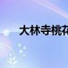 大林寺桃花古诗带拼音（大林寺桃花）
