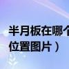 半月板在哪个位置图片和症状（半月板在哪个位置图片）
