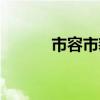 市容市貌管理条例（市容市貌）