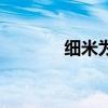 细米为什么少儿不宜（细米）