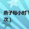 燕子每小时飞行多少千米（小燕飞一天做多少次）