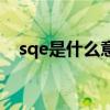 sqe是什么意思的缩写（sqe是什么意思）