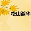 松山湖华为欧洲小镇（松山湖华为）