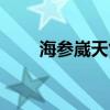 海参崴天气预报最新（海参崴天气）