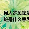 男人梦见蛇是什么意思有什么预兆（男人梦见蛇是什么意思）