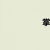 掌中jiao（掌中新浪）