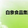 白象食品集团是国企吗（白象食品集团）