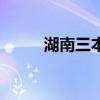湖南三本最低投档线（湖南三本）