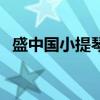 盛中国小提琴名曲欣赏（中国小提琴论坛）