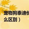 宠物狗泰迪价格多少钱一只（泰迪和贵宾有什么区别）