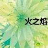 火之焰实业有限公司（火之焰）
