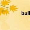 bulls23是谁（bulls 23）