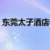 东莞太子酒店老板儿子（东莞太子酒店老板）