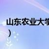 山东农业大学贴吧苏傲雪（山东农业大学贴吧）