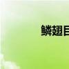 鳞翅目害虫有哪些（鳞翅目）