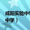 咸阳实验中学录取分数线2023年（咸阳实验中学）