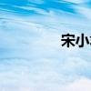 宋小君情诗十首（宋小君）