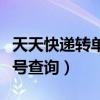 天天快递转单号查询物流信息（天天快递转单号查询）
