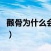 颧骨为什么会凸起来(颧骨为什么会往两边凸) 颧骨为什么会凸起来(颧骨为什么会往两边凸)