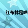红布林是啥水果（红布林的功效与作用）