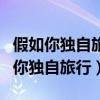 假如你独自旅行你会带什么小练笔作文（假如你独自旅行）
