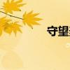 守望麦田电影（守望麦田）