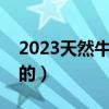 2023天然牛黄多少钱一克（牛黄是怎么形成的）
