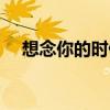 想念你的时候是什么歌（想念你的时候）