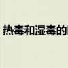 热毒和湿毒的区别图片（热毒和湿毒的区别）